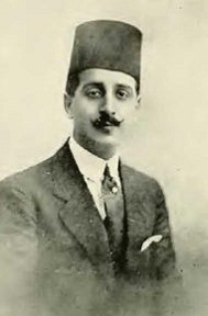 محمد تيمور